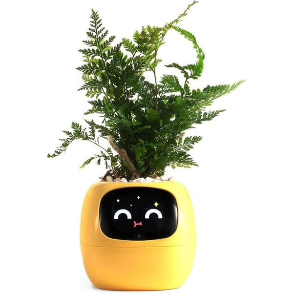BloomTech | Interaktiver Blumentopf mit Sensorik & LED-Feedback