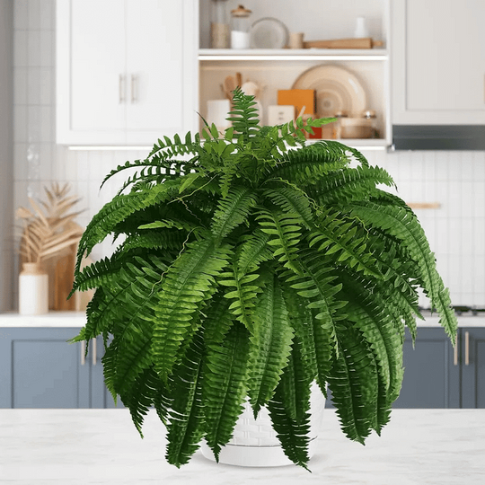 EverFern | Üppiger Künstlicher Bostonfarn für Innen & Außen