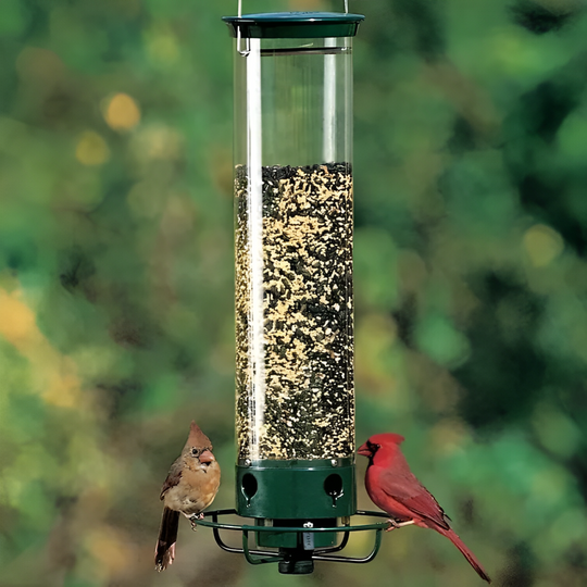FeatherGuard | Eichhörnchen-sichere Vogelfutterstation