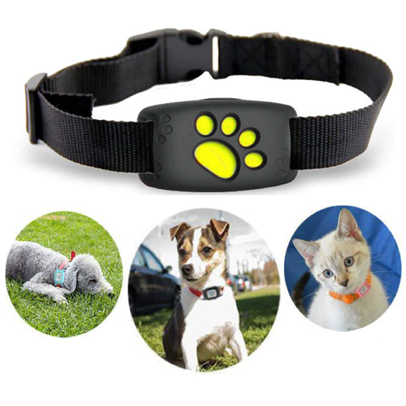 Étoile | GPS Katzenhalsband – Premium Echtzeit-Tracker für Katzen-1