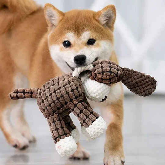 PawBite | Plüschspielzeug für aggressive Kauberschwerter Decorique.de