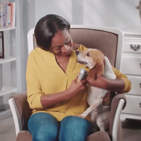 PawClip | Sicherer Nagelknipser mit Sensorschutz Decorique.de