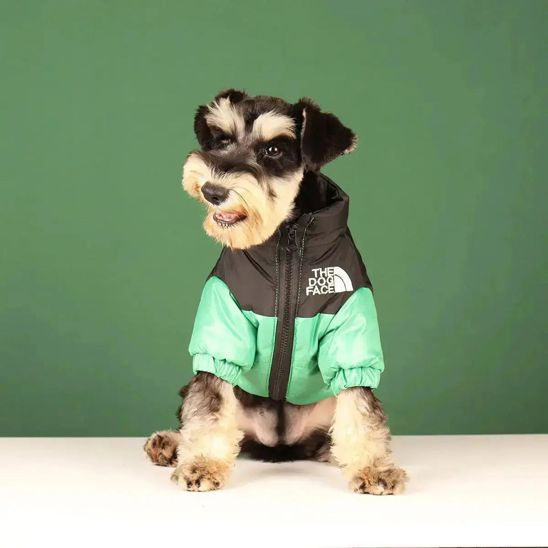 PawShield | Warme Hundejacke mit Komfort-Fit Decorique.de