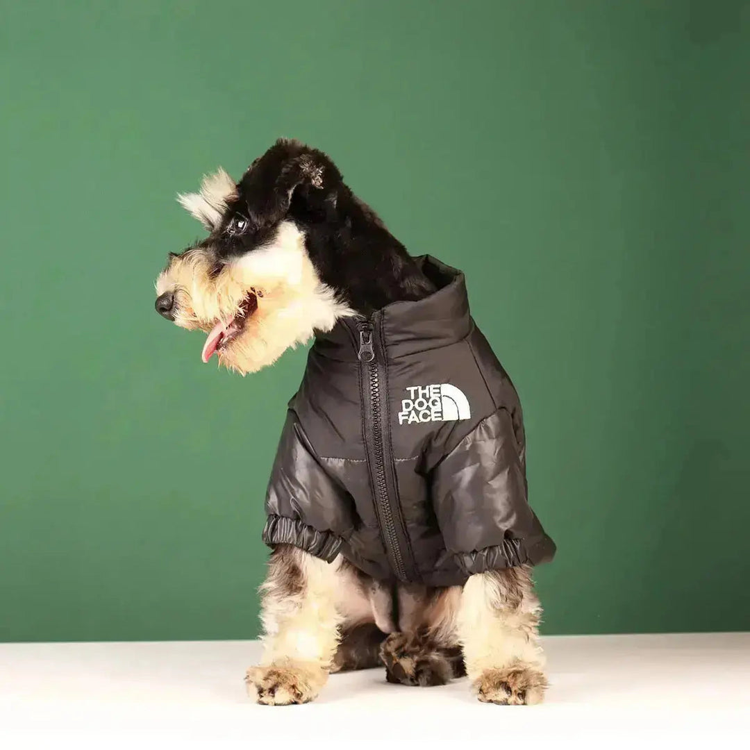 PawShield | Warme Hundejacke mit Komfort-Fit Decorique.de