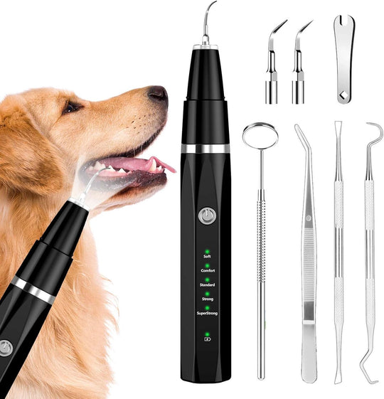 DentaPet | Professioneller Plaque Remover – Für Hunde & Katzen