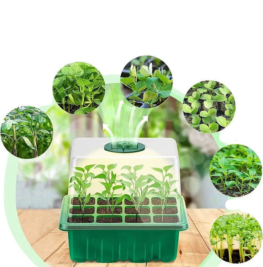 PlantJoy | Indoor Mini-Gewächshaus mit Beleuchtung Decorique.de