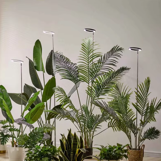 PlantLuxe | Wachstumslicht für Zimmerpflanzen Decorique.de