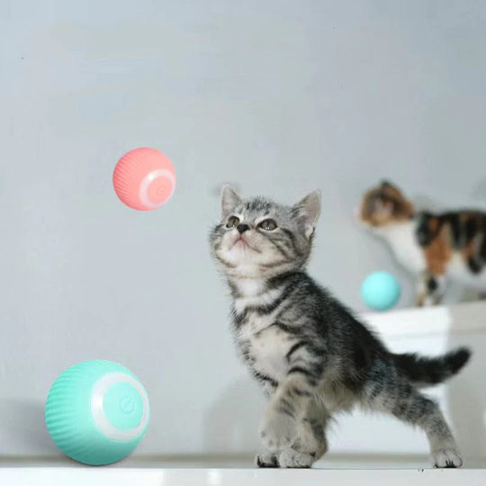 PlayBall | Intelligentes Katzen-Spielzeug – Automatisch & Geräuscharm Decorique.de