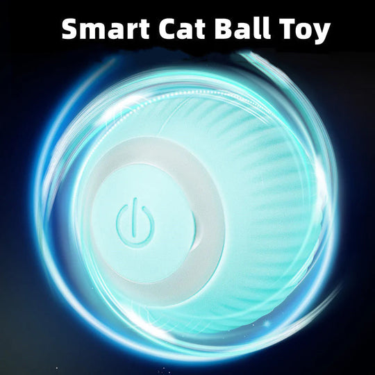 PlayBall | Intelligentes Katzen-Spielzeug – Automatisch & Geräuscharm Decorique.de