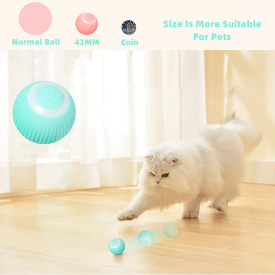 PlayBall | Intelligentes Katzen-Spielzeug – Automatisch & Geräuscharm Decorique.de