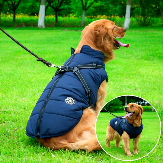 PupCoat | Wasserdichte Winter Hundejacke Blau Decorique.de