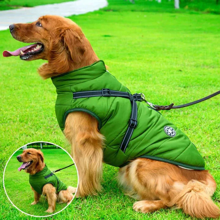 PupCoat | Wasserdichte Winter Hundejacke Grün Decorique.de