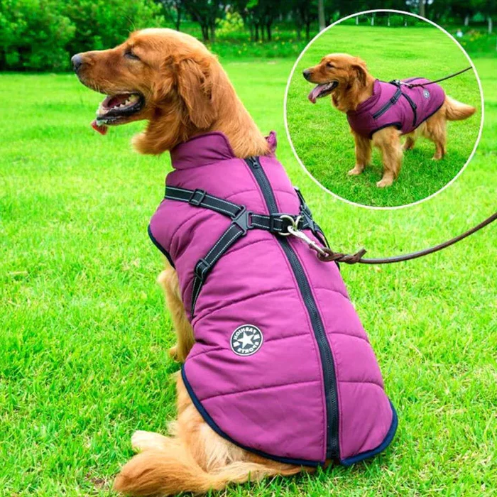 PupCoat | Wasserdichte Winter Hundejacke Lila Decorique.de