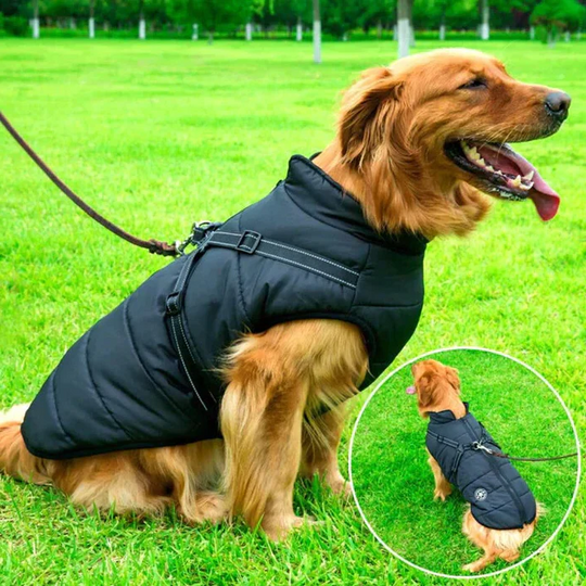 PupCoat | Wasserdichte Winter Hundejacke Schwarz Decorique.de