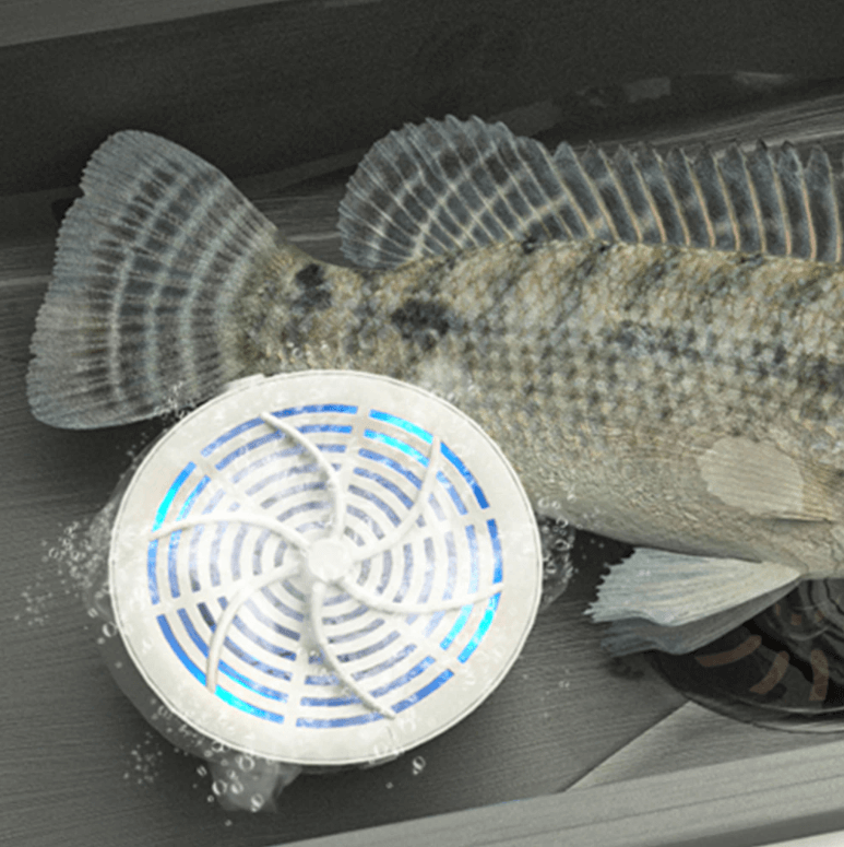 PureWash | Effektiver Lebensmittelreiniger für Frische & Sicherheit Decorique