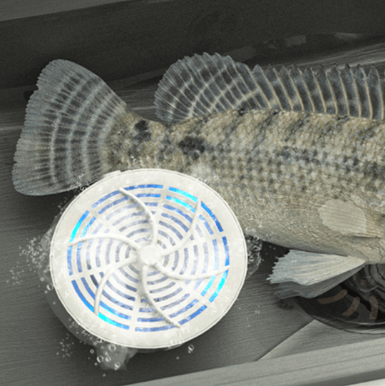 PureWash | Effektiver Lebensmittelreiniger für Frische & Sicherheit Decorique