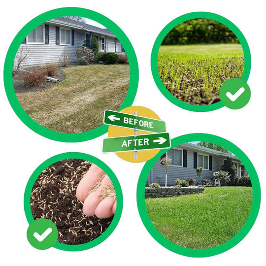 GrassMate | Rasen-Reparaturmatte für kahle Stellen