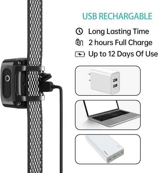 QuietCollar | Sanftes Antibellhalsband für kleine Hunde Decorique.de