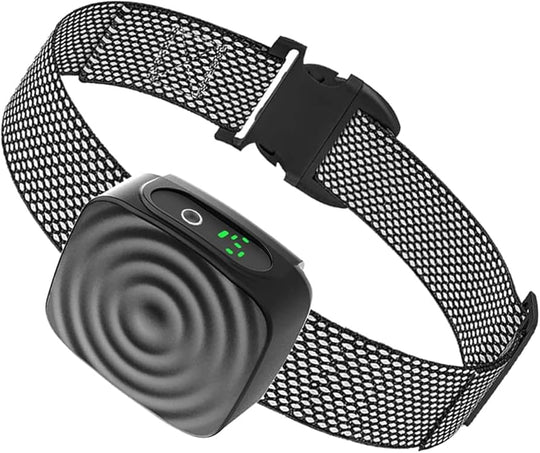 QuietCollar | Sanftes Antibellhalsband für kleine Hunde Decorique.de