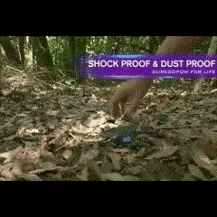 RayCharge | Solar-Powerbank mit 500.000mAh & Dual-USB Decorique.de