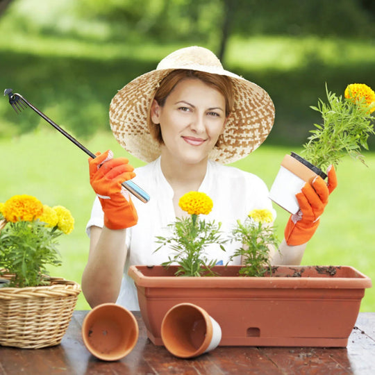 RootBlade | Crescent Unkrautstecher mit langem Griff Decorique.de