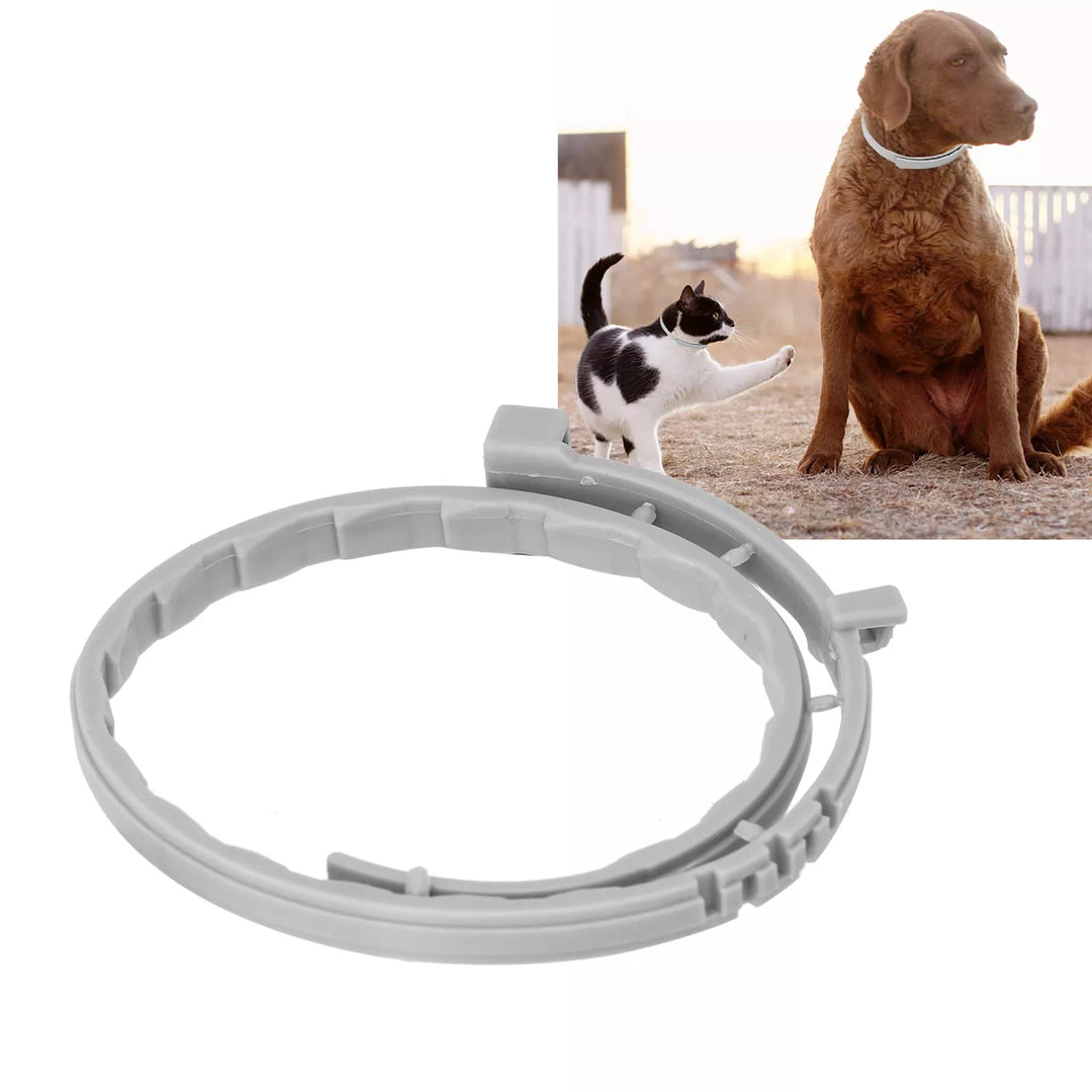 FleaGuard | 8 Monate Zecken- und Flohschutz für Hunde