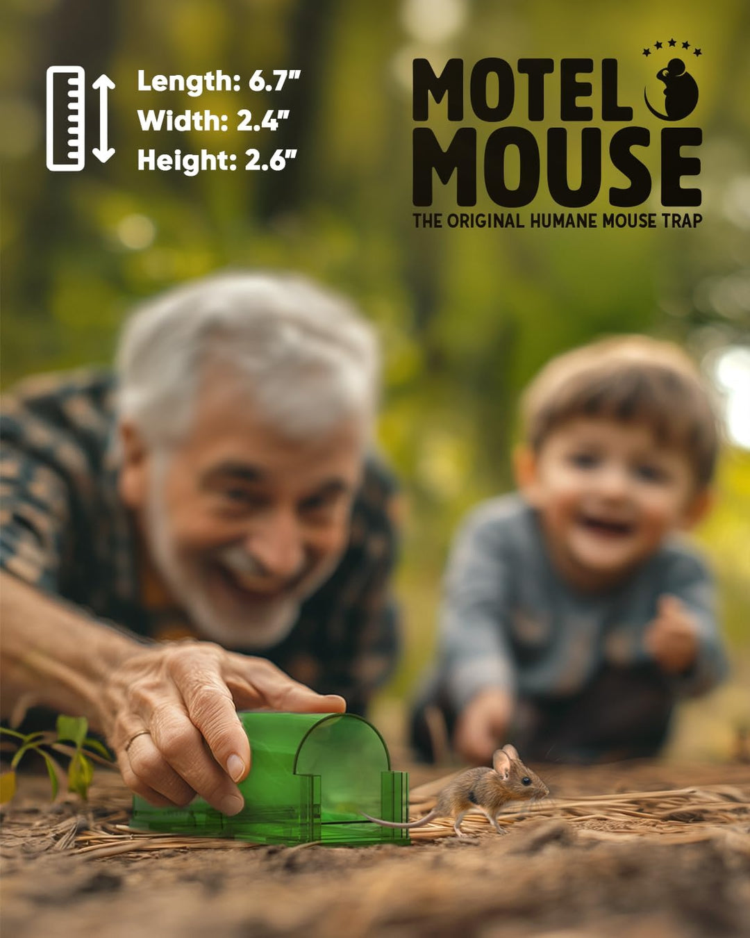 SafeTrap | 4er-Pack Mäusefalle Decorique.de