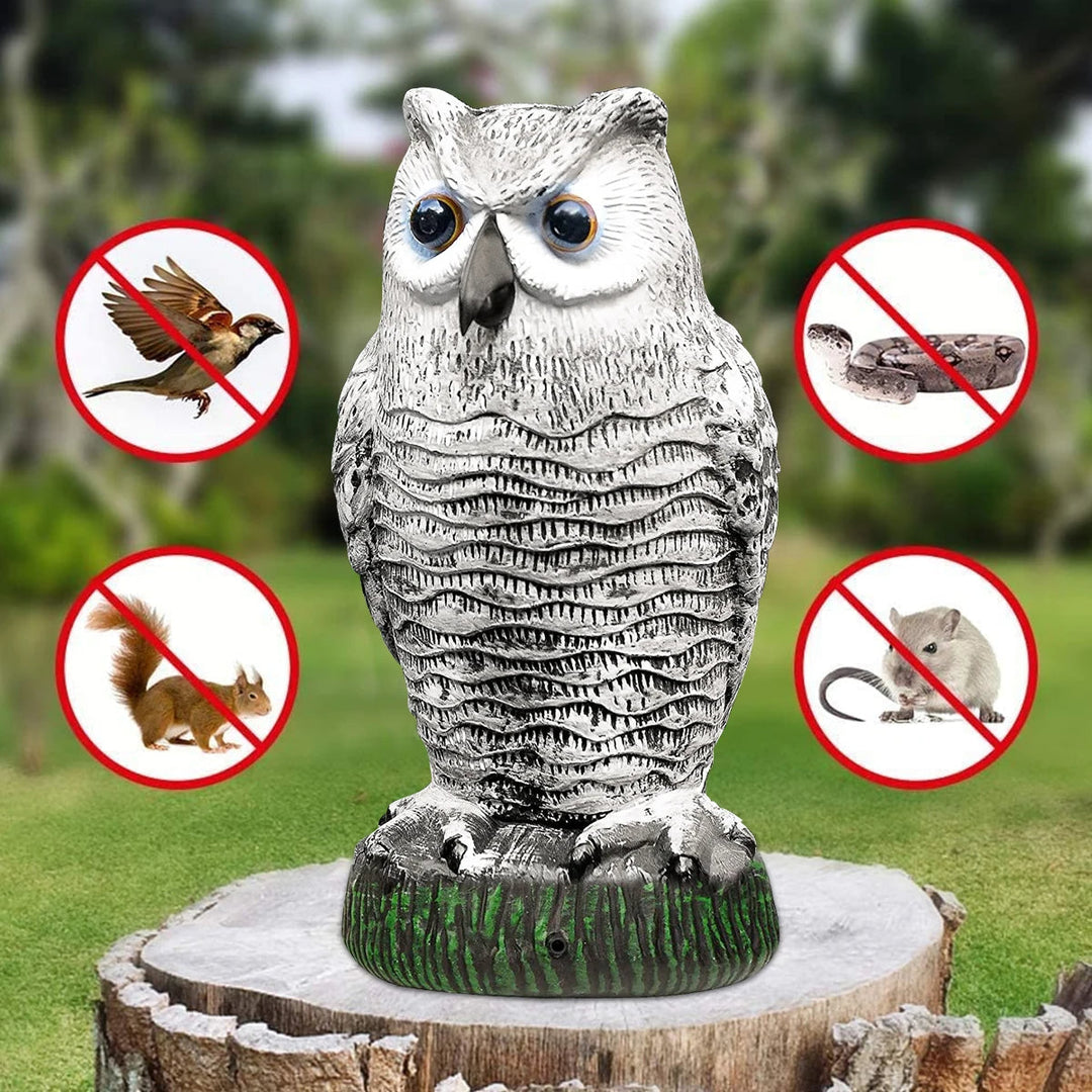 ScareOwl | Realistischer Eulenattrappe Vogelschreck Decorique.de