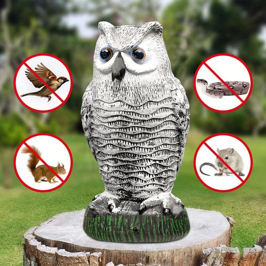 ScareOwl | Realistischer Eulenattrappe Vogelschreck Decorique.de