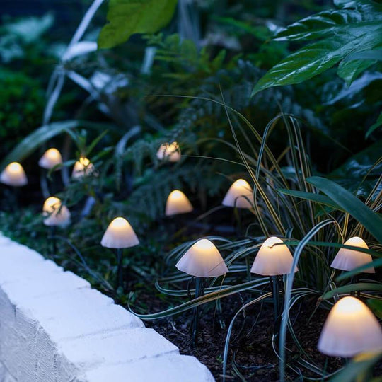 ShroomFest | Farbige LED-Pilze mit 8 Lichtmodi Warmweiß Decorique.de