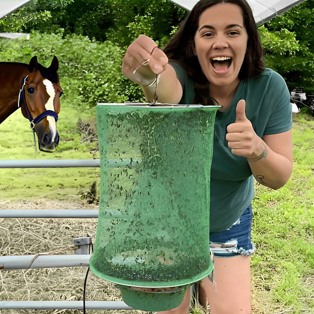 SilentTrap | Ungiftige Fliegenfalle für einen sorgenfreien Sommer Decorique.de