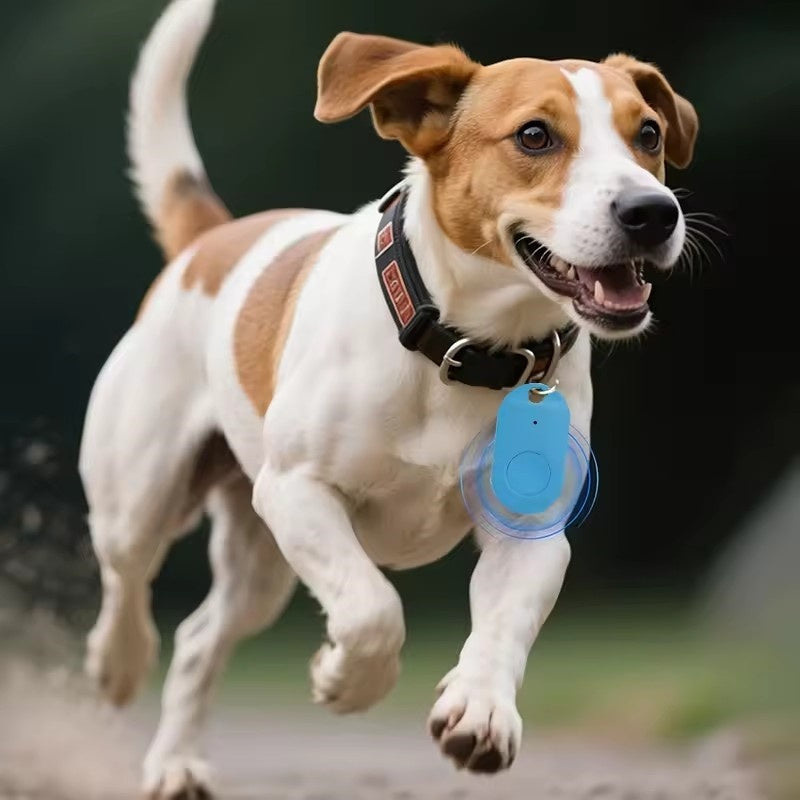 SlimTrack | Leichter GPS-Finder – iPhone & Android Decorique.de