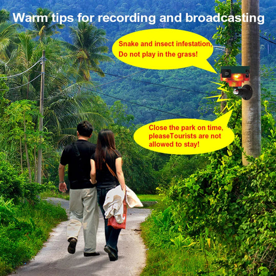 SonicShield | Solarvogelvertreiber mit blinkendem Licht Decorique.de