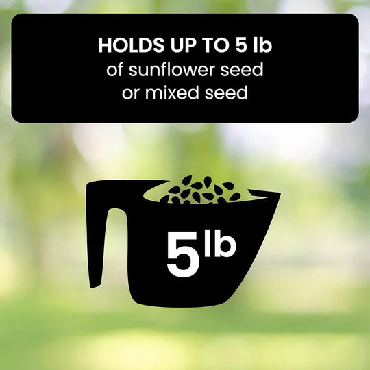 SquirrelGuard | Vogel-Futterstation mit Eichhörnchenschutz Decorique.de