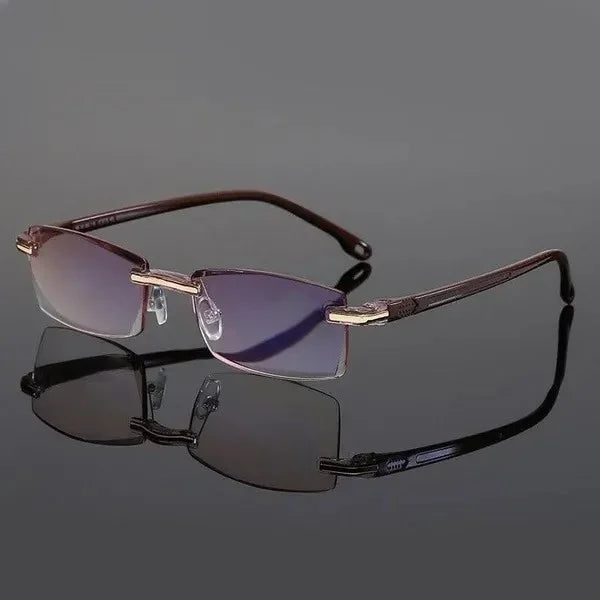 SteadySight | Unverwüstliche Multifokale Lesebrille (1+1 Gratis) Braun 2x Decorique.de