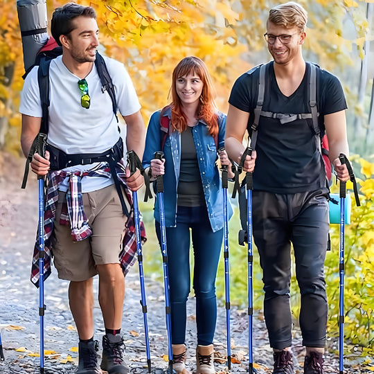 SummitLock | Profi-Wanderstöcke 2er-Set – Verstellbar & Robust Decorique.de