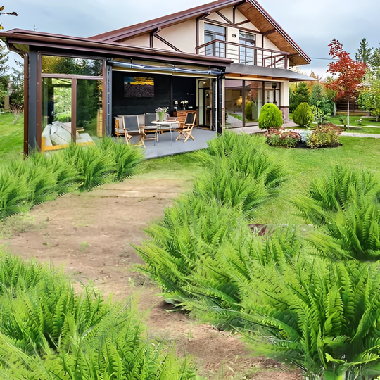 SunLeaf | UV-beständiger, realistischer künstlicher Boston-Farn für den Außenbereich Decorique.de