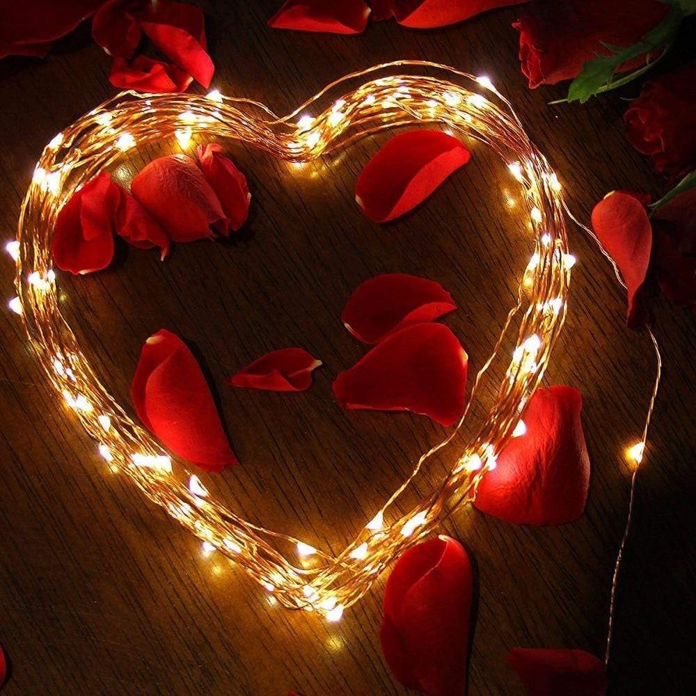 SunTwine | Solarbetriebene LED-Lichterkette für Balkon & Garten Decorique.de