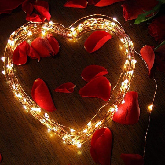 SunTwine | Solarbetriebene LED-Lichterkette für Balkon & Garten Decorique.de