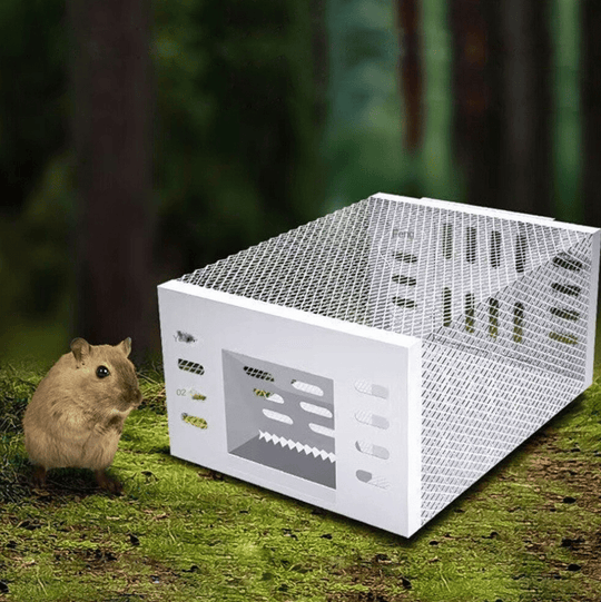 TrapEase | Mausefalle – Humane & Effiziente Nagetierkontrolle Decorique.de