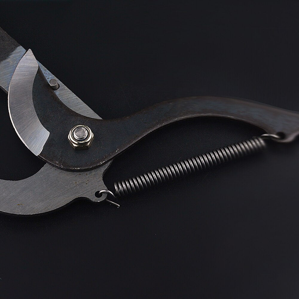 TreeReach | Hochaltitude Verlängerungs-Obstschneider Decorique.de