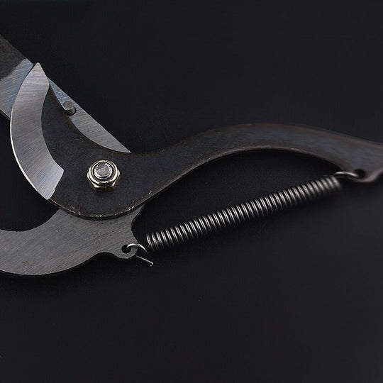 TreeReach | Hochaltitude Verlängerungs-Obstschneider Decorique.de