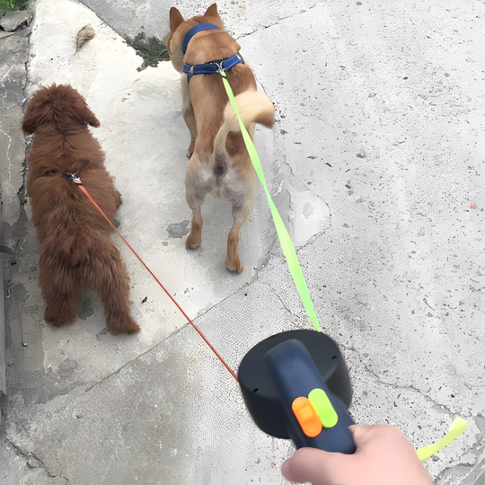 TwistFree | Leine für 2 Hunde mit Drehgelenk & Licht Decorique.de