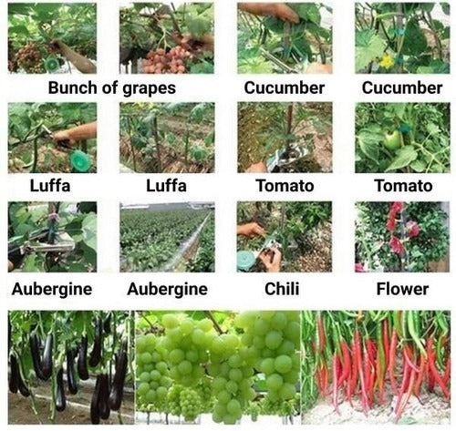 VineMate | Pflanzenstützen Decorique.de