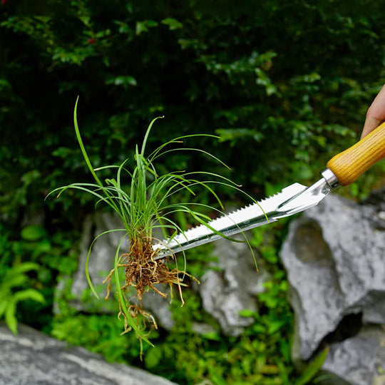 WeedPro | 5-in-1 Unkrautstecher aus Edelstahl mit Buchenholzgriff Decorique.de